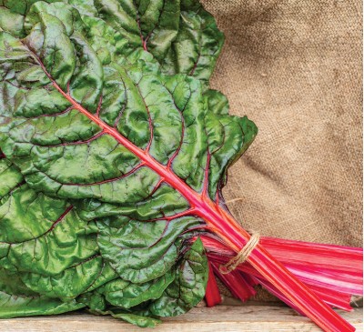 Chard Mangold Magenta Sunset 